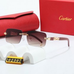 Cartier 202307.