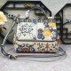 480 [Dolce Gabbana] The same crossbody bag as a celebrity, crossbody, mirror, overseas purchasing special products, fashionable and aura, brand new bag style, any combination can be as long as there is a fashionable heart, you can keep it clearly, when an