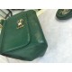 530 Medium size [Dolce Gabbana] Colorful Diamond Lizard Pattern Crossbody Bag Original Single Perfect Bag Shape Imported Top-Level Lizard Pattern Cowhide, Customized Vacuum High Electroplating Hardware All-match Bag Style Hand-Owned Crossbody is suitable 