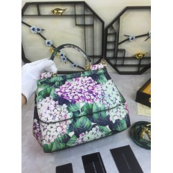 480 [Dolce Gabbana] Crossbody, mirror, special products for overseas purchasing, new bag style and aura, any combination can be as long as there is a fashionable heart, you can keep it clearly, when and where DG will always show you infinite surprises Lux