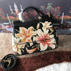 480 [Dolce Gabbana] The same crossbody bag as a celebrity, crossbody, mirror, overseas purchasing special products, fashionable and aura, brand new bag style, any combination can be as long as there is a fashionable heart, you can keep it clearly, when an