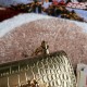600 【Dolce Gabbana】Top original list ➰Delicate handmade series crossbody bags, imported raw materials, resin bottom plated with real gold DG logo on the front, the flip cover is hidden magnetic buckle, fixed electroplated ruthenium chain decoration, pure 600 【Dolce Gabbana】Top original list ➰Delicate handmade series crossbody bags, imported raw materials, resin bottom plated with real gold DG logo on the front, the flip cover is hidden magnetic buckle, fixed electroplated ruthenium chain decoration, pure