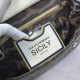 480 [Dolce Gabbana] The same crossbody bag as a celebrity, crossbody, mirror, overseas purchasing special products, fashionable and aura, brand new bag style, any combination can be as long as there is a fashionable heart, you can keep it clearly, when an