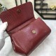 470 Small [Dolce Gabbana] Colorful Diamond Lizard Pattern Crossbody Bag Original Single Perfect Bag Shape Imported Top-Level Lizard Pattern Cowhide, Customized Vacuum High Electroplating Hardware All-match Bag Shape Hand-Off Crossbody is suitable for any 