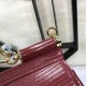 530 Medium size [Dolce Gabbana] Colorful Diamond Lizard Pattern Crossbody Bag Original Single Perfect Bag Shape Imported Top-Level Lizard Pattern Cowhide, Customized Vacuum High Electroplating Hardware All-match Bag Style Hand-Owned Crossbody is suitable 
