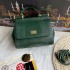 510 [Dolce Gabbana] Model number: 4662 Lizard Diamond Original Single Perfect Bag Shape Imported Top-Level Lizard Pattern Cowhide, Customized Vacuum High Electroplating Hardware, Versatile Bag Style, Hand-in Crossbody is suitable for any occasion, Gorgeou