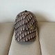 P40 [DIOR] new simple baseball cap with volume, new model shipped, big brand models are super easy to match, hurry up and buy them!
